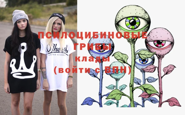 спайс Пенза