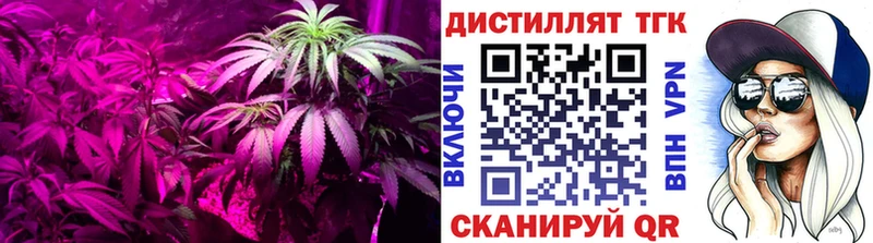 blacksprut ССЫЛКА  Богучар  мориарти состав  ТГК вейп 