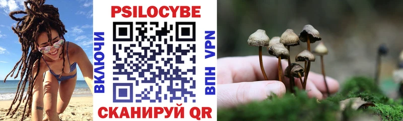 где купить наркоту  Богучар  Галлюциногенные грибы мицелий 